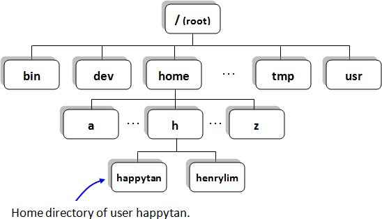 UNIX Directory Tree